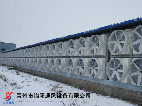 負(fù)壓風(fēng)機3